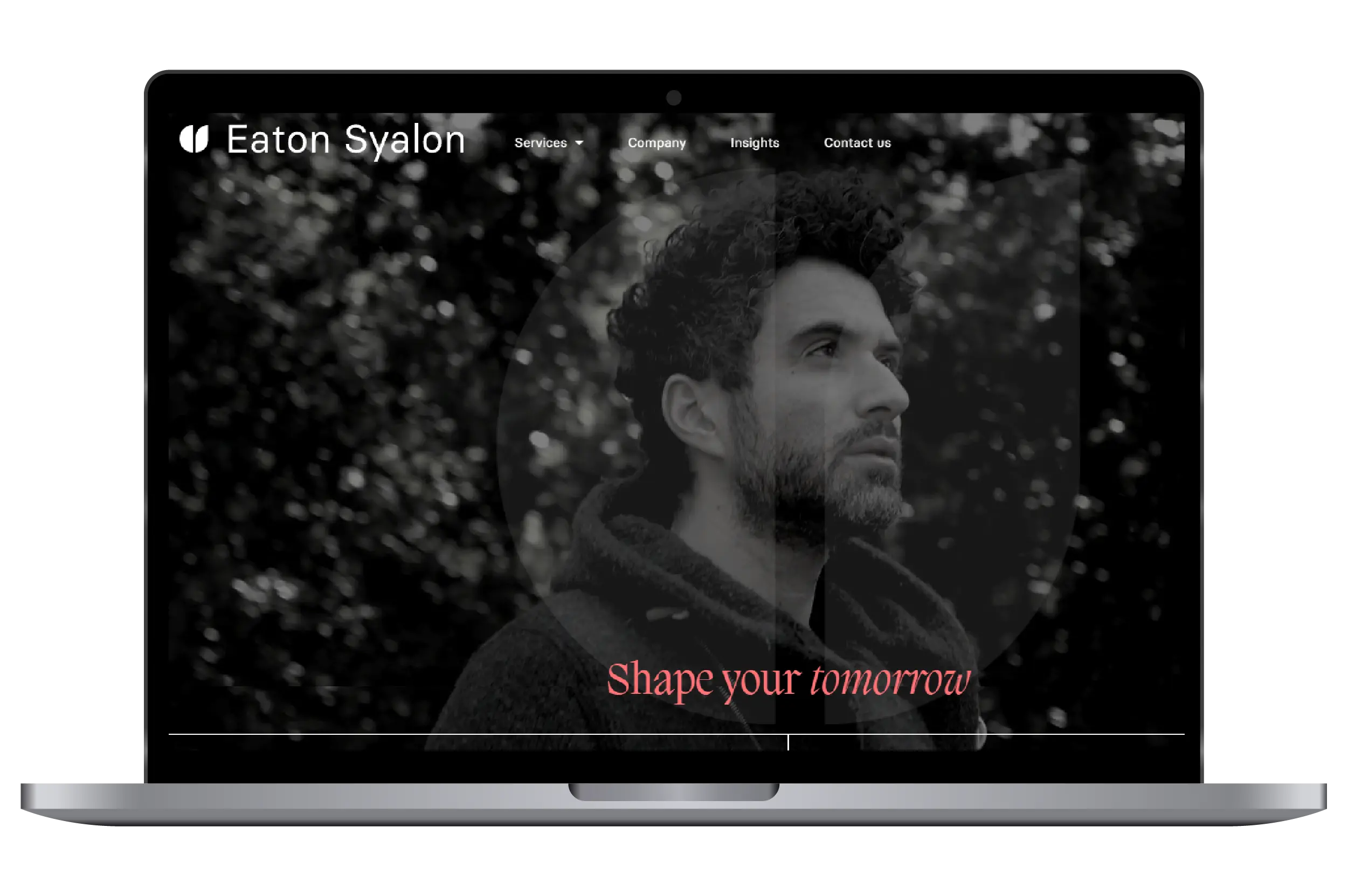 Eaton Syalon website mockup